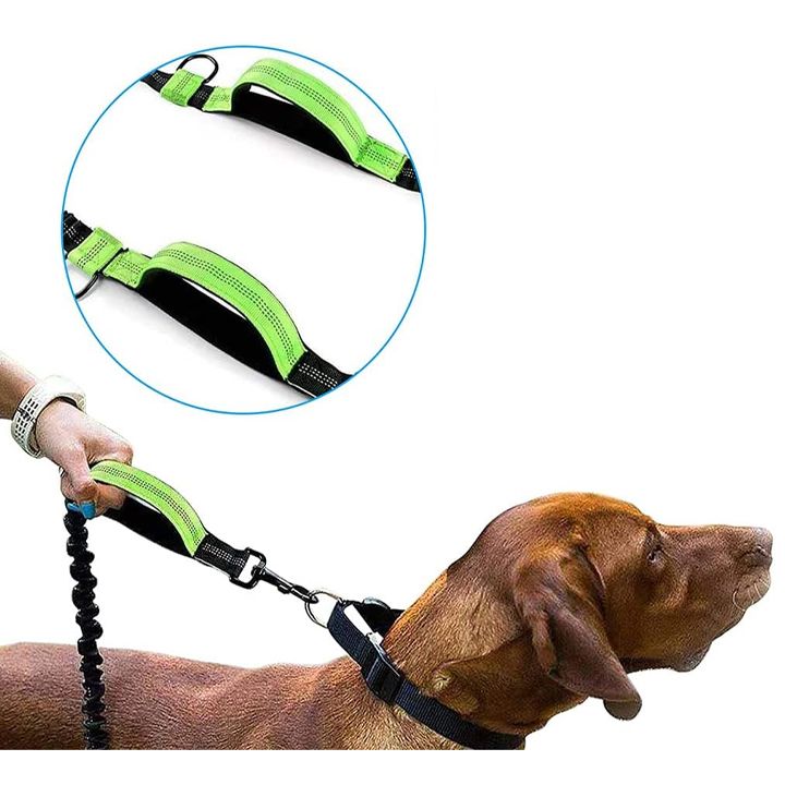 dzaghlis-sabeli-photo-2