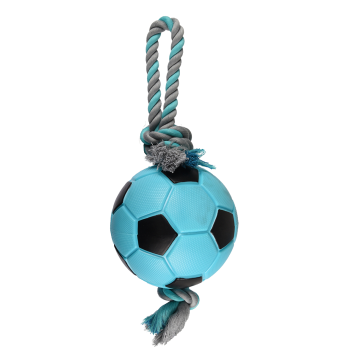 flagino-dt-tpr-sporty-football-dzaghlis-satamasho