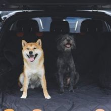 Product image of M-PETS LUNGO მანქანის სავარძლის გადასაფარებელი