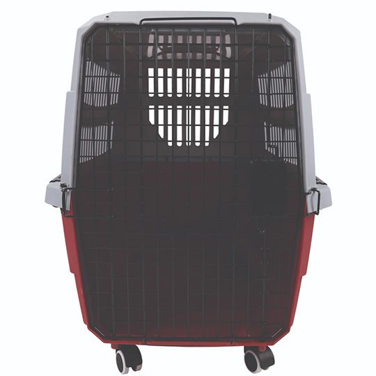 m-pets-viaggio-gadamqvani-l