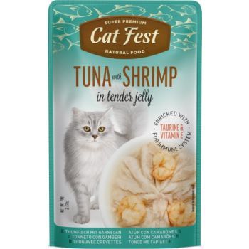 petfest-tuna-with-shrimp-70gr-sneqi-katistvis