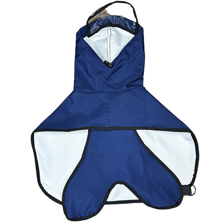 dzaghlis-mosaskhami-satsvimari-8xl-photo-2