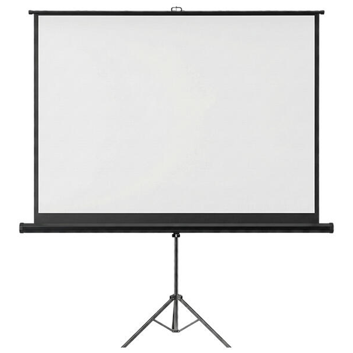 byintek-screenow-ts002-f120-120-proeqtoris-ekrani