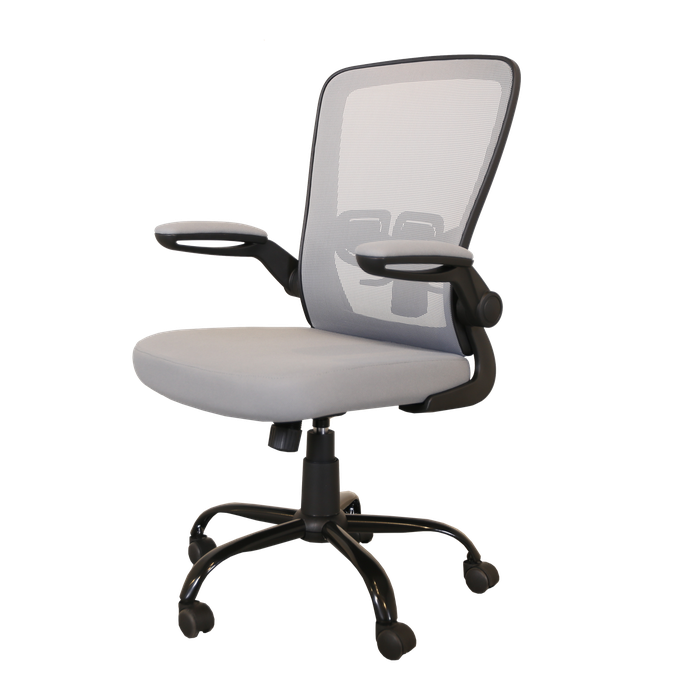 my-office-savardzeli-photo-2