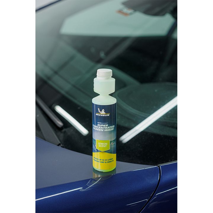 31975-michelin-superkontsentrirebuli-minis-mtsmendi-sistemis-sitkhe-250ml---limoni-photo-3