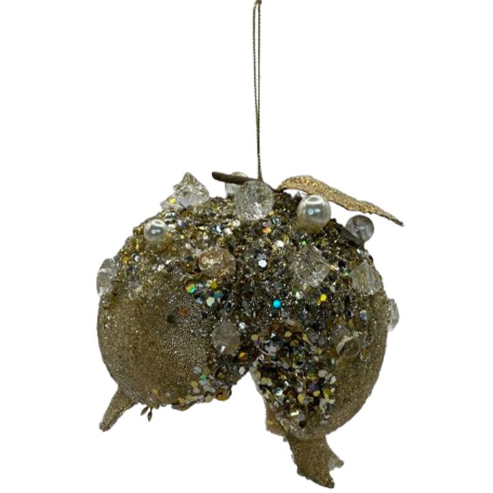 nadzvis-khis-satamasho-brotseuli-photo-4