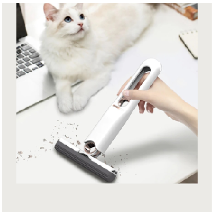 satsmendi-mopi-photo-3