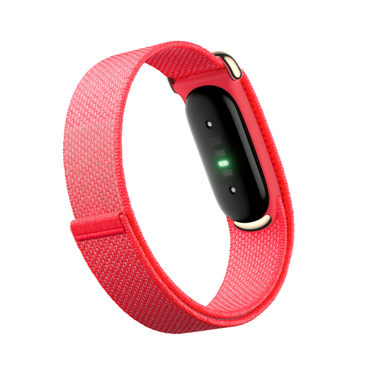 google-fitbit-air-berry-fitnes-trekeri-photo-3