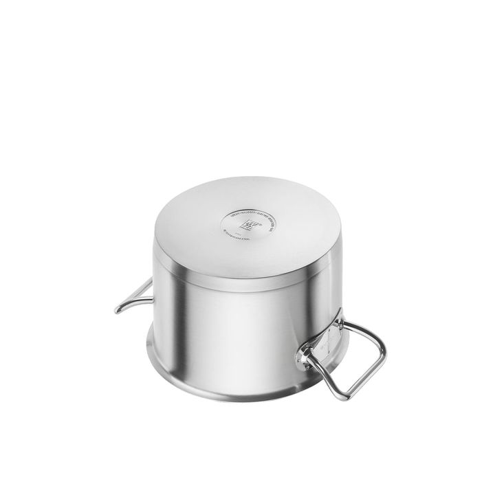 zwilling-pro-31l-qvabi-tavsakhurit-photo-2