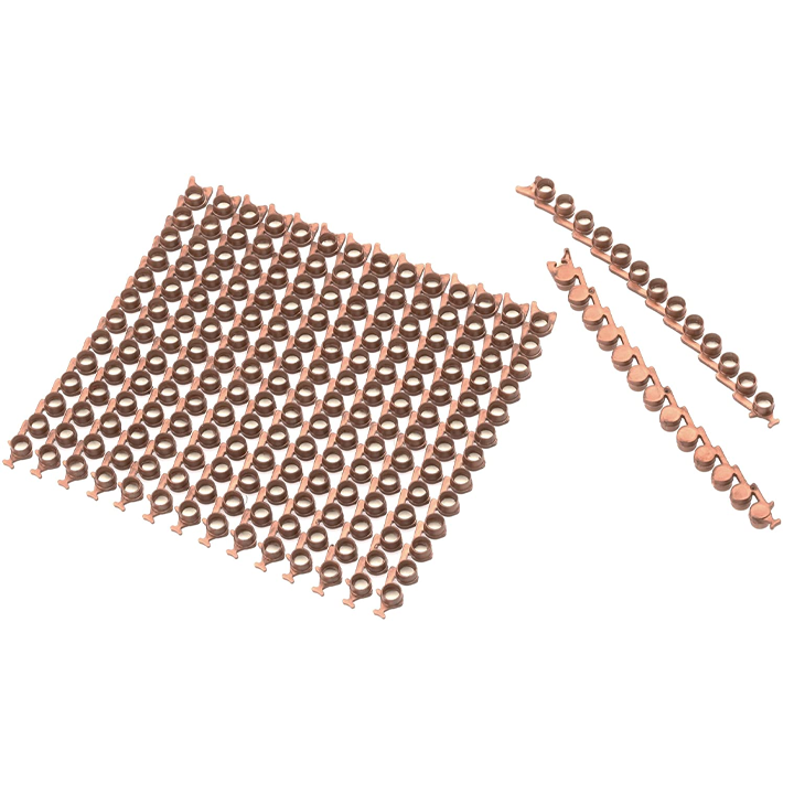 schrodel-gasasroli-kafsula-photo-2