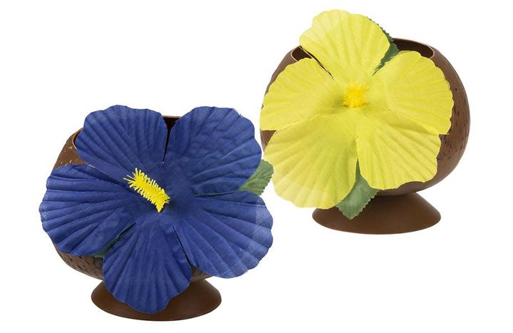 qoqosis-chiqa-qvavilit-1ts