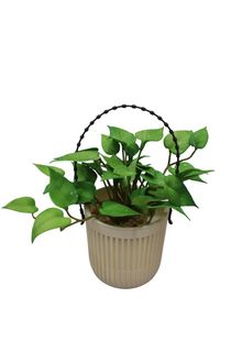 Product image of ხელოვნური მცენარე 0451-30