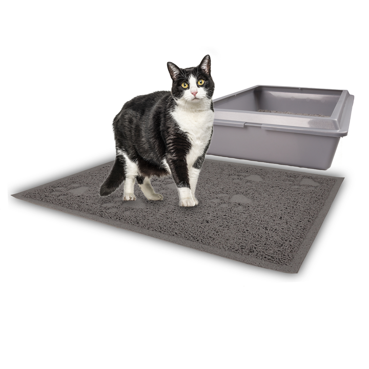 flamingo-katis-tualetis-khalicha-photo-2