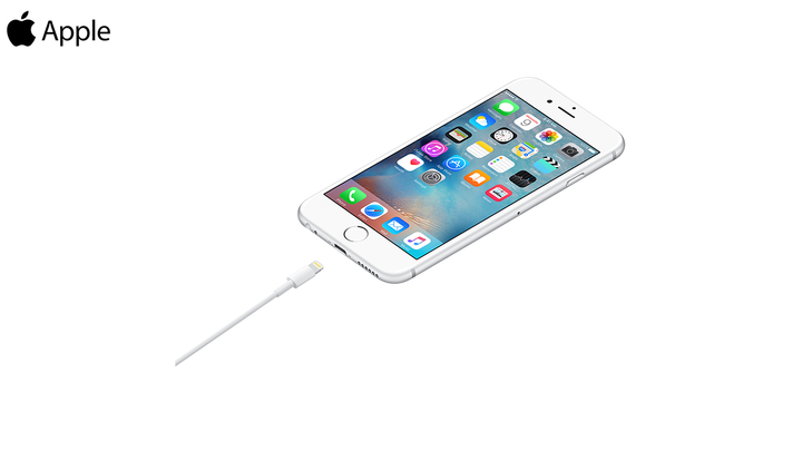 apple-md819-a1510-lightning-to-usb-cable-2m-photo-4