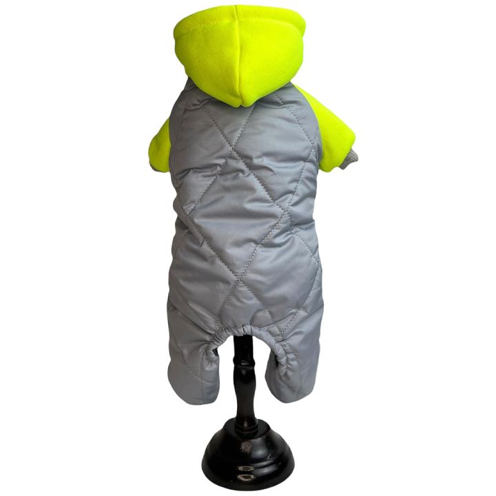 petsup-dzaghlis-tansatsmeli-photo-2