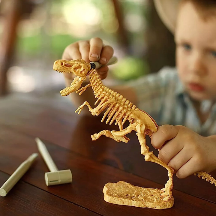 science4you-t-rex-satamasho-sametsniero-nakrebi-ipove-dinozavri-photo-4