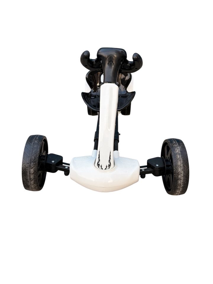 sabavshvo-eleqtro-kartingi-photo-4