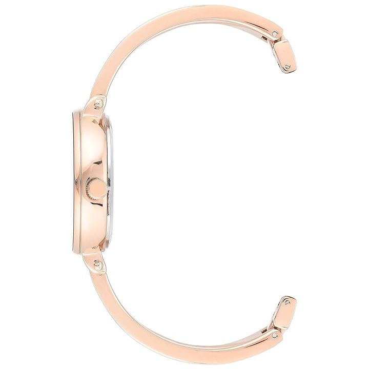 anne-klein-ak3620wtst-qalis-saati-photo-3