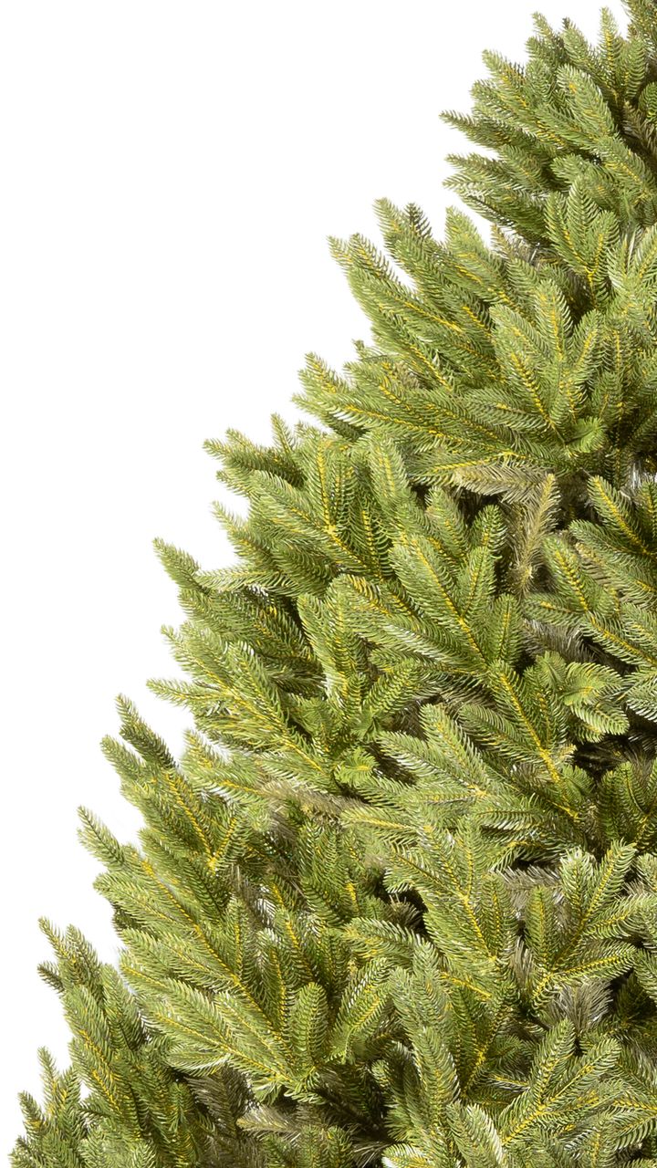 aqate-250sm---dizaineruli-nadzvis-khe-shako-da-ninosgan-photo-3