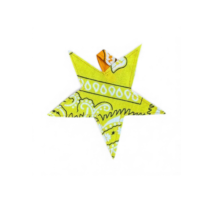 bandana-star-charm