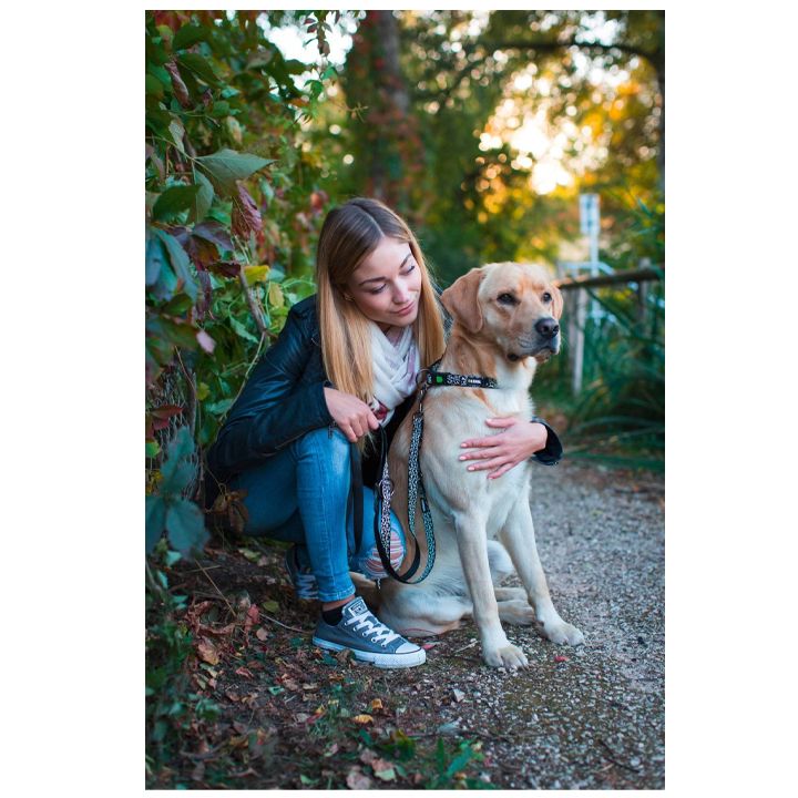 kerbl-dzaghlis-saqelo-photo-4