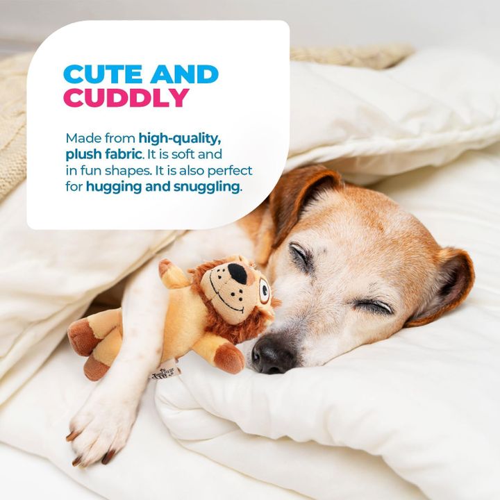 all-for-paws-ultrasonic-rbili-satamasho-photo-3