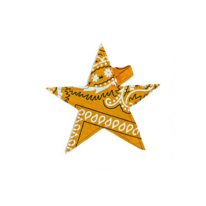 bandana-star-charm-photo-2