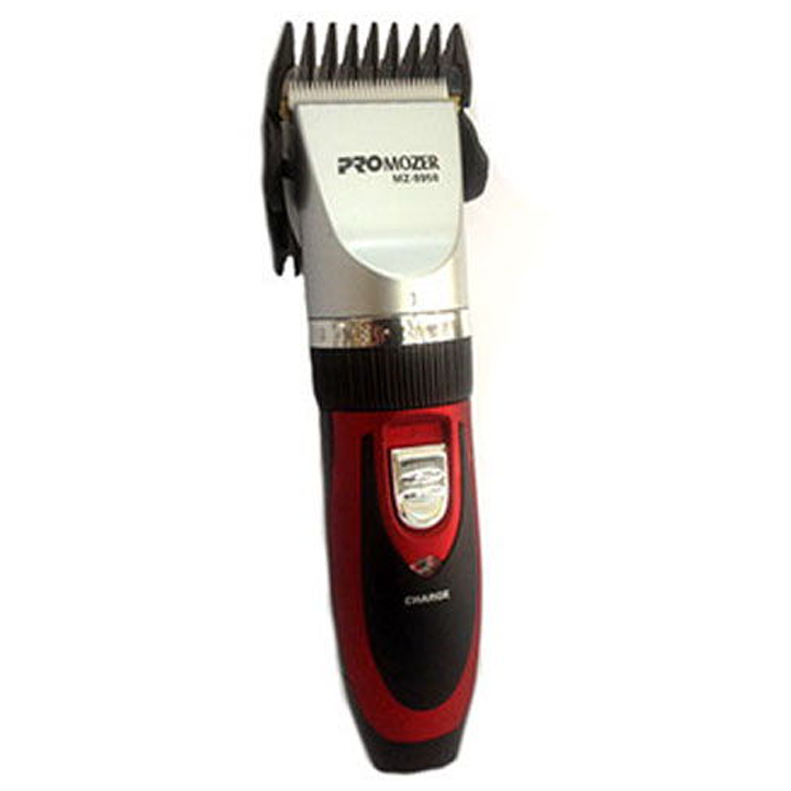 promozer-9930-tmis-usadeno-sakrechi
