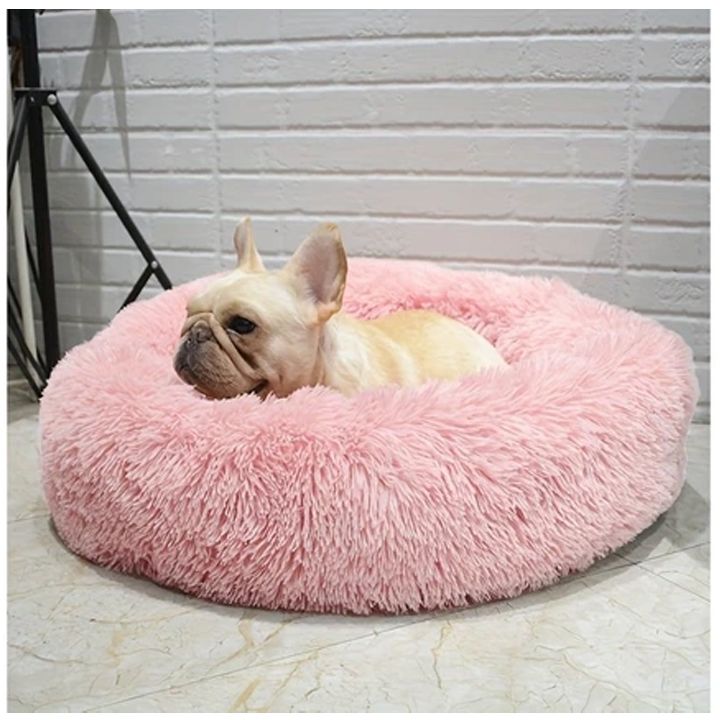 petsup-dzaghlis-satsoli-photo-2