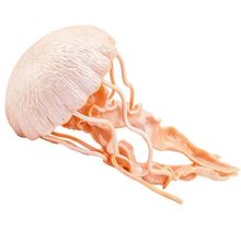 Product image of SAFARI Jellyfish სათამაშო ფიგურა