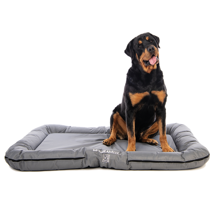 m-pets-falster-xl-leibi