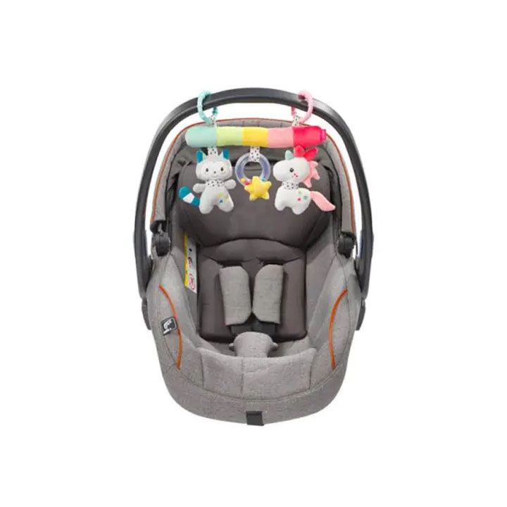 fehn-baby-etlze-dasamagrebeli-satamasho