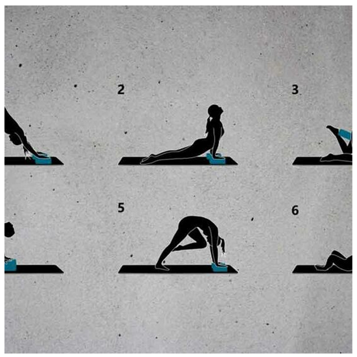 schreuderssport-yoga-block-set-of-2-foam-iogas-aguri-iogas-nakrebi-photo-4