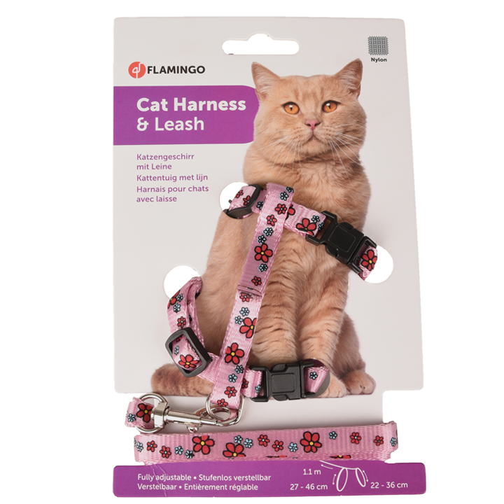 flamingo-katis-sabeli-photo-2