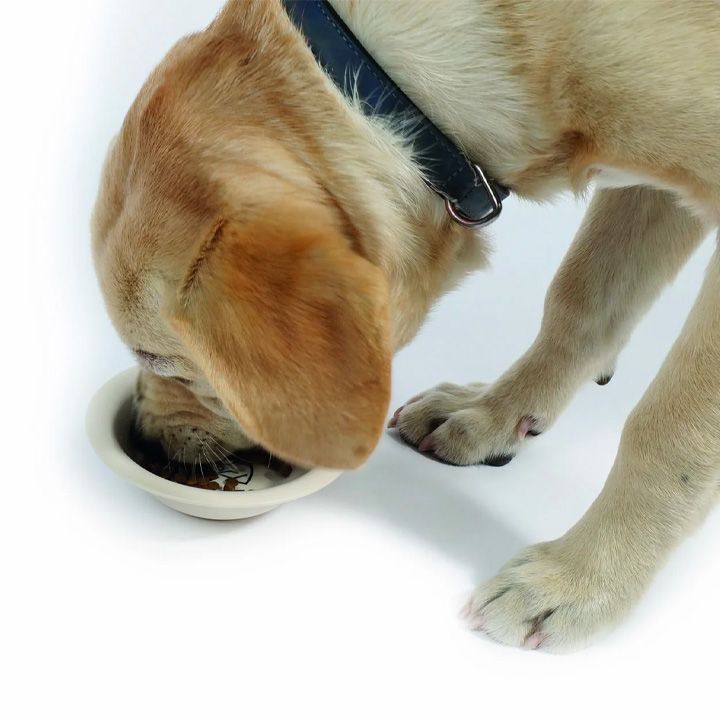 m-pets-bambukis-tasi-photo-3