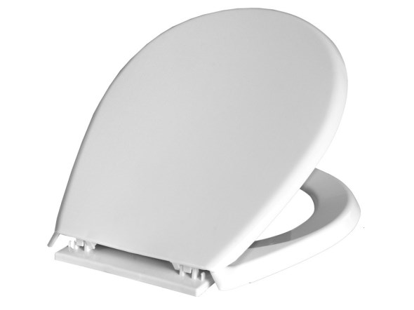 bisk-lilia-unitazis-dasajomi