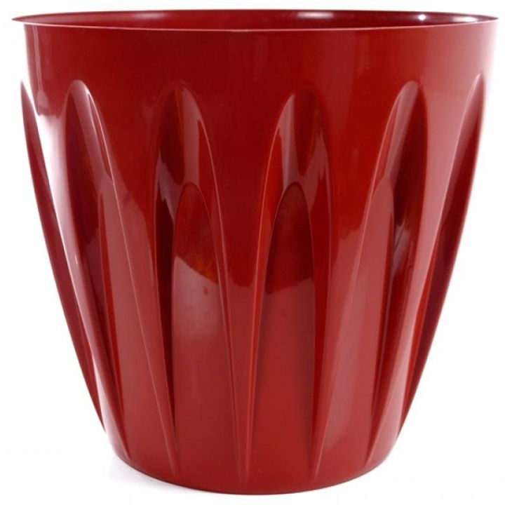 serinova-p004-19047-mtsenaris-qotani