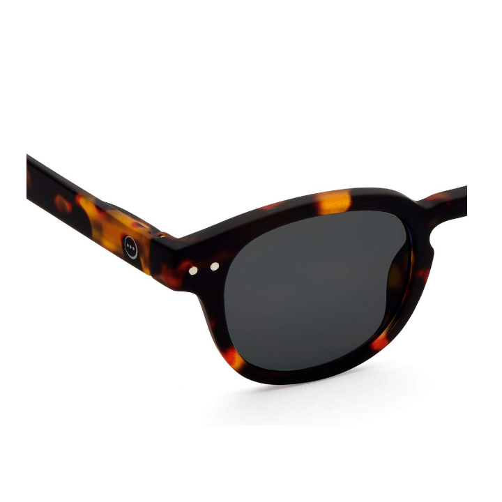 giggles-c-sun-junior-tortoise-mzis-satvale-photo-3