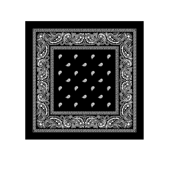 bandana-bendena-shavi