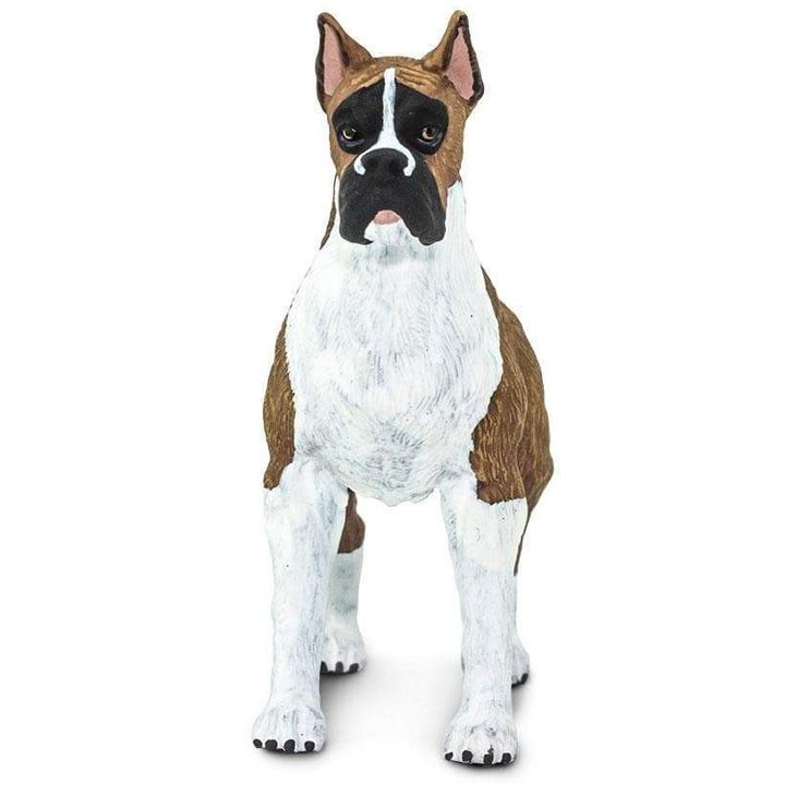 safari-boxer-satamasho-figura-photo-2