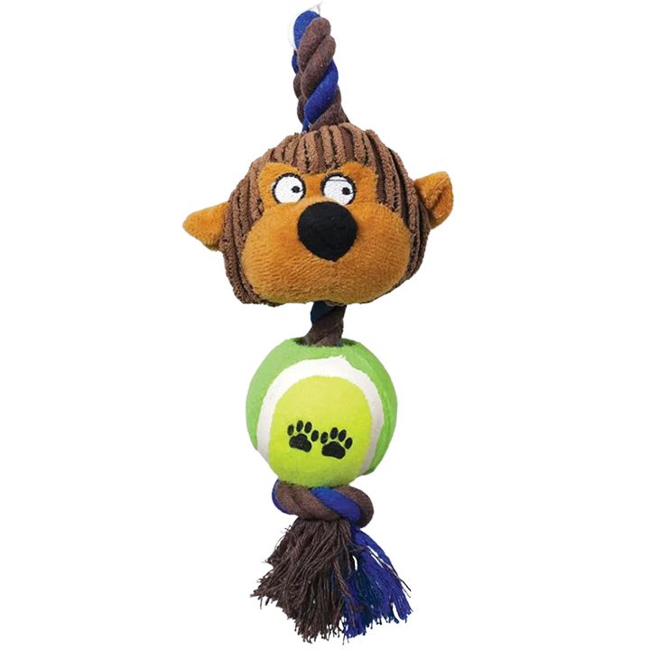 m-pets-dennis-dzaghlis-satamasho-photo-2