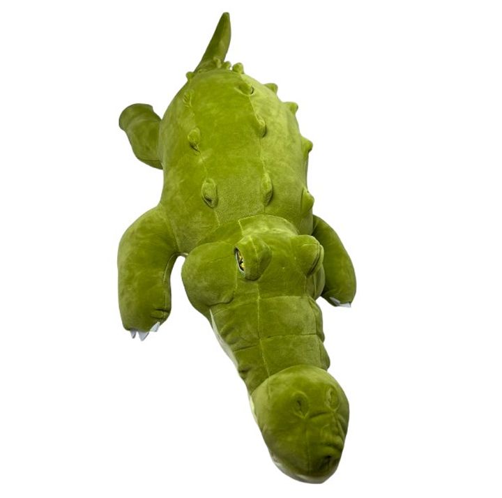 rbili-satamasho-niangi-photo-2