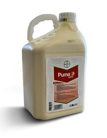 Product image of პუმა სუპერი