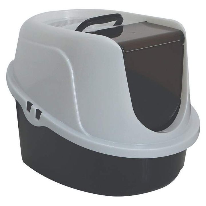 m-pets-tima-l-katis-tualeti