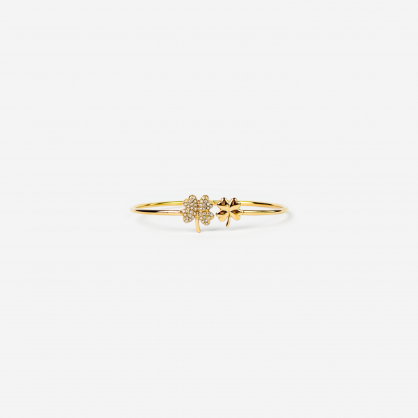 titanis-mooqrovili-samajuri-photo-3