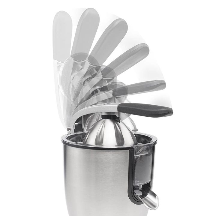 princess-tsitrusis-tsvensatsuri-photo-3