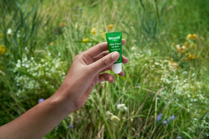 weleda-skin-food-lip-butter-tuchis-balzami-8-ml-photo-4