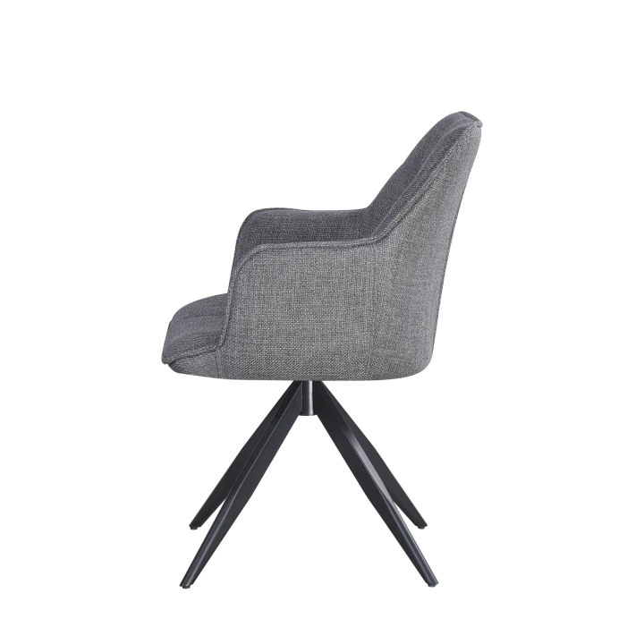 akhali-aveji-rex-mbrunavi-skami-photo-4