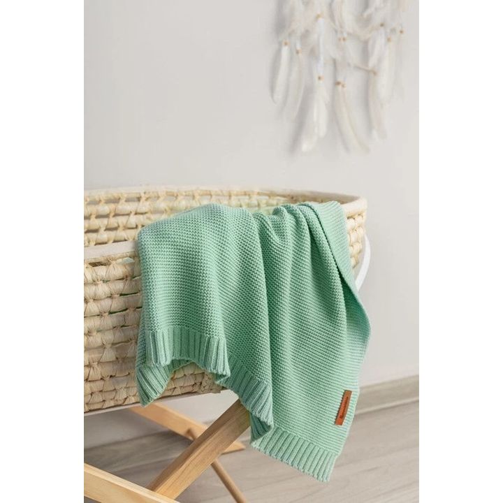 sensillo-sabavshvo-pledi-photo-3