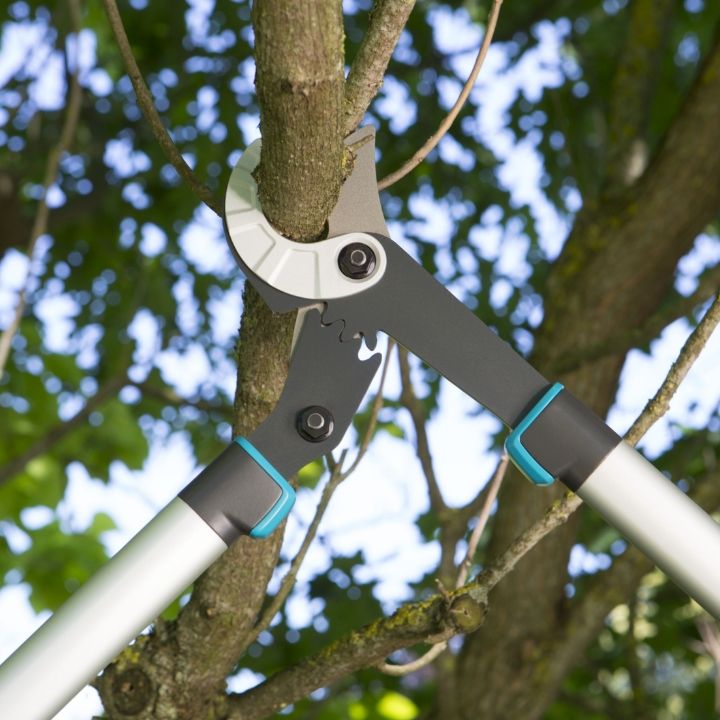 gardena-totebis-sachreli-sekatori-lopper-energycut-750a-photo-2